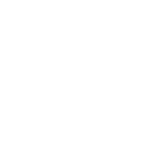 payment-wt